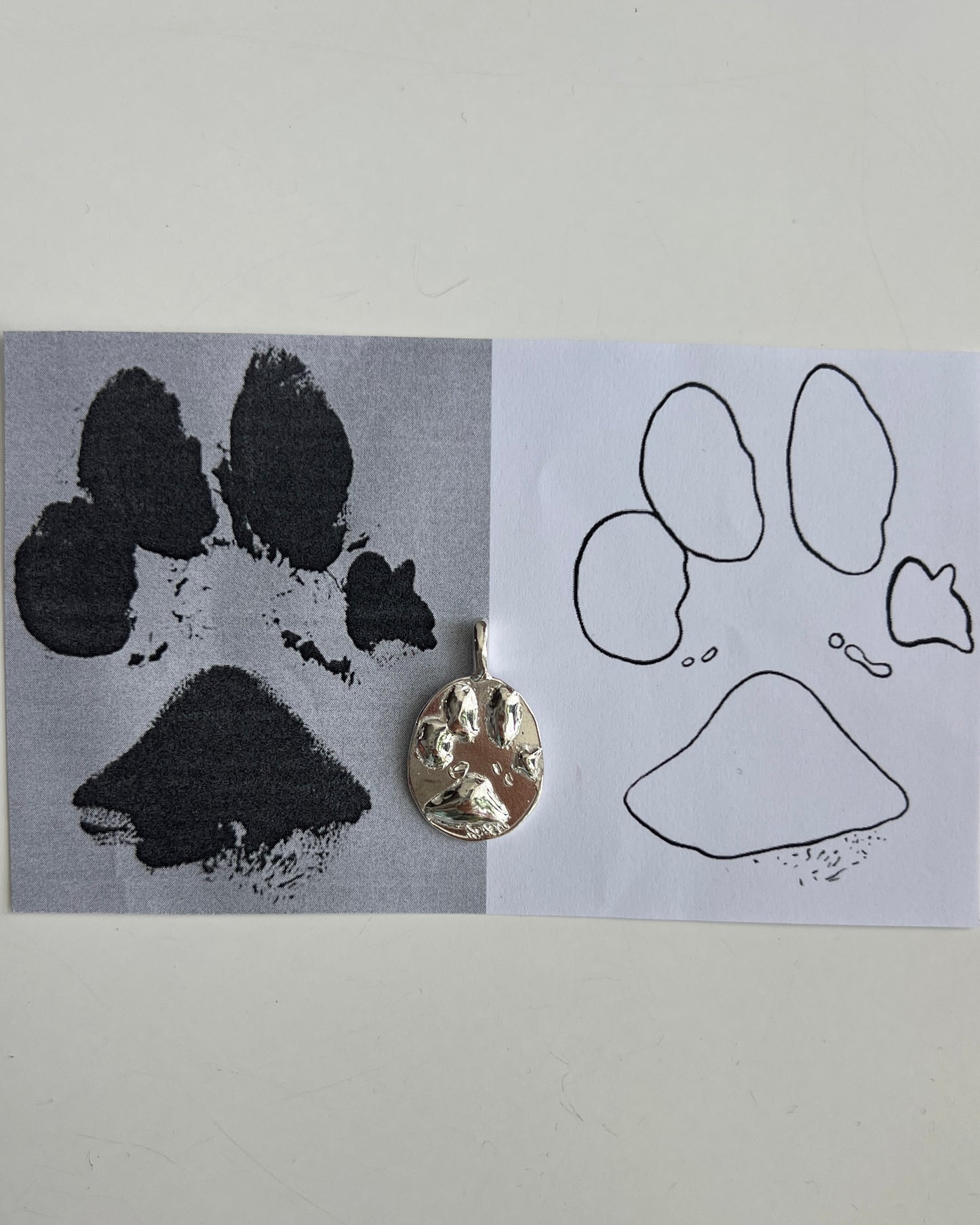 COLLAR PAW ETERNA