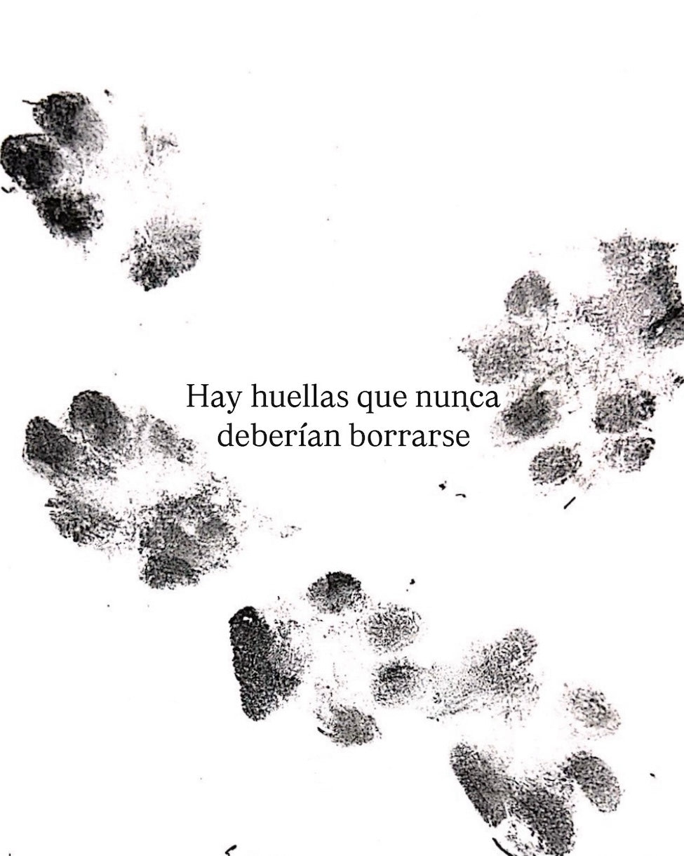 COLLAR PAW ETERNA