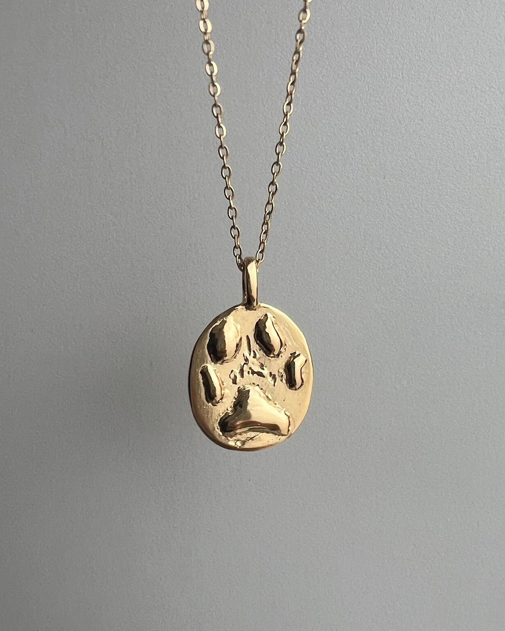 COLLAR PAW ETERNA