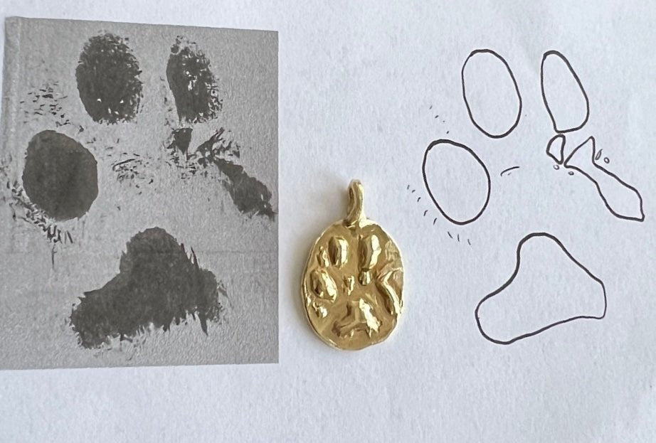 COLLAR PAW ETERNA - Mouer