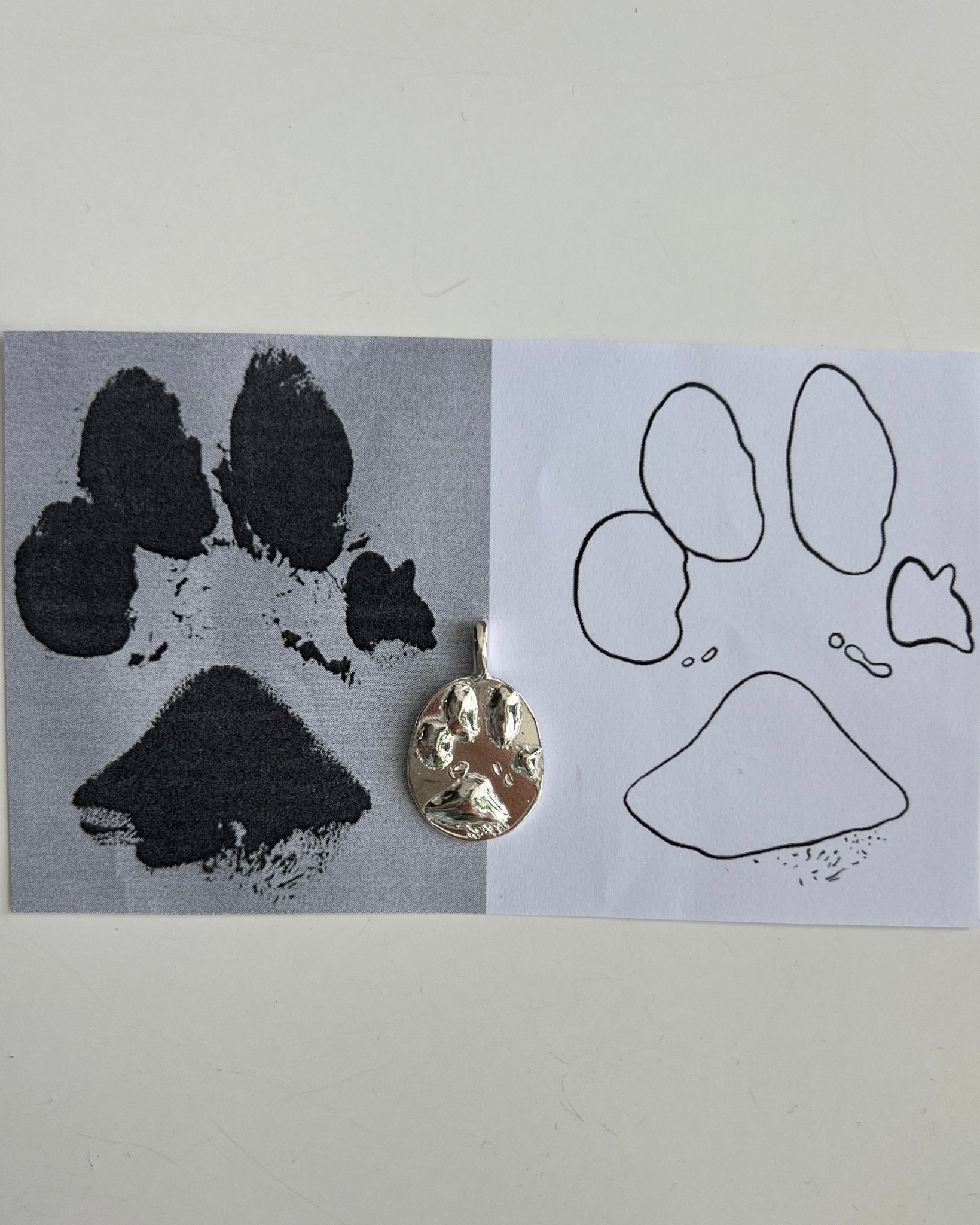 COLLAR PAW ETERNA - Mouer