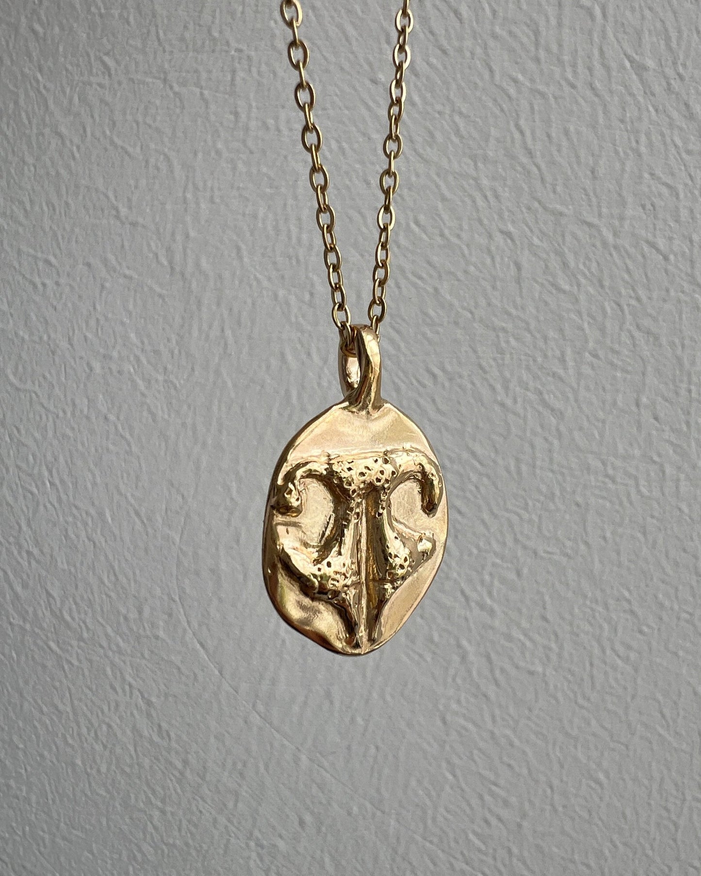 COLLAR PAW ETERNA - Mouer