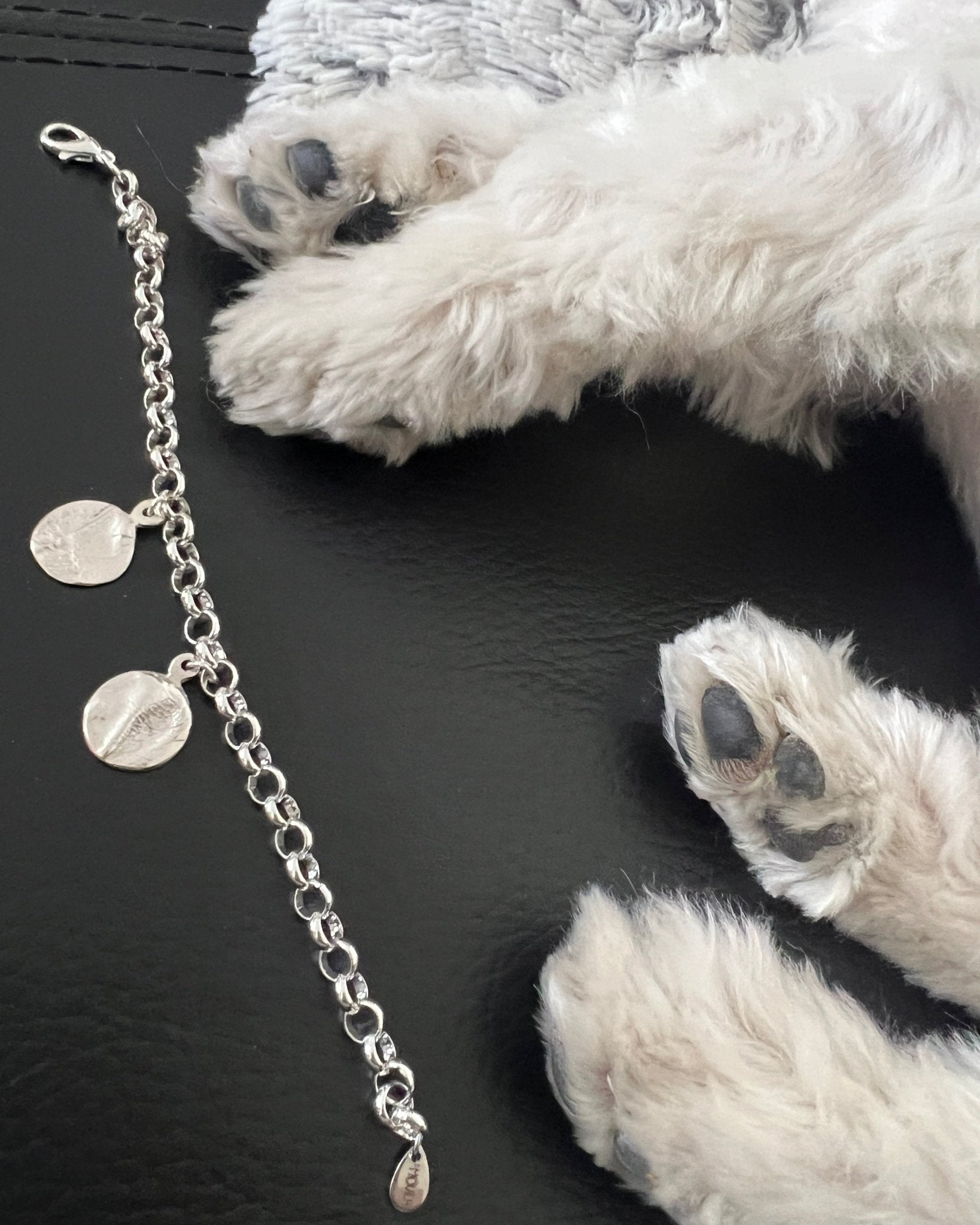 Pulsera Touch - Mouer