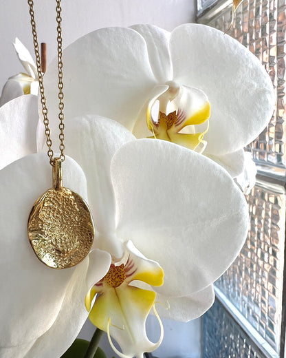 COLLAR TOUCH - Mouer