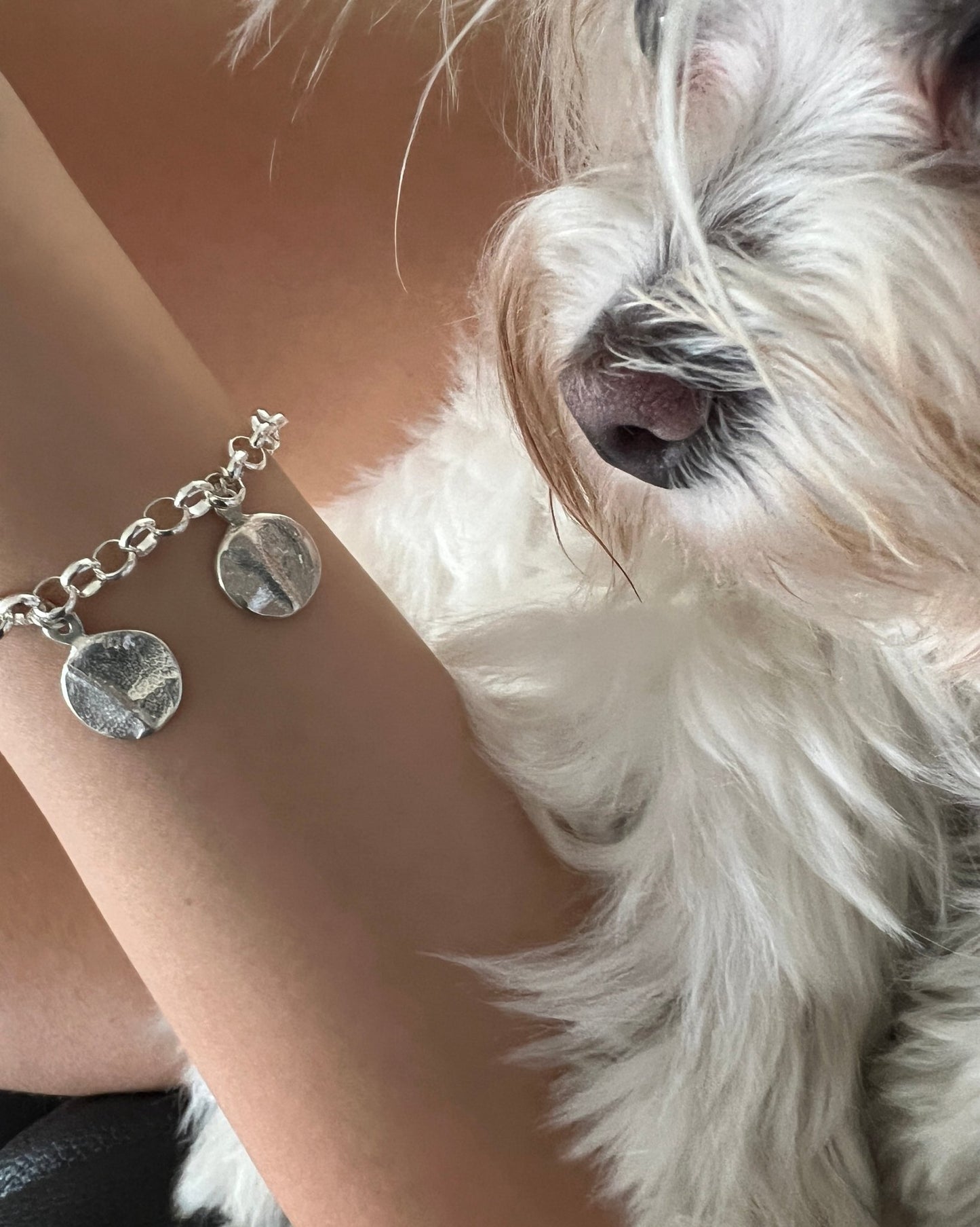 Pulsera Touch - Mouer