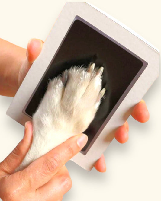 Marco para plasmar huella - Mouer