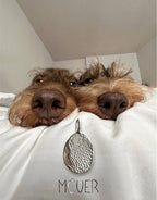 COLLAR TOUCH - Mouer