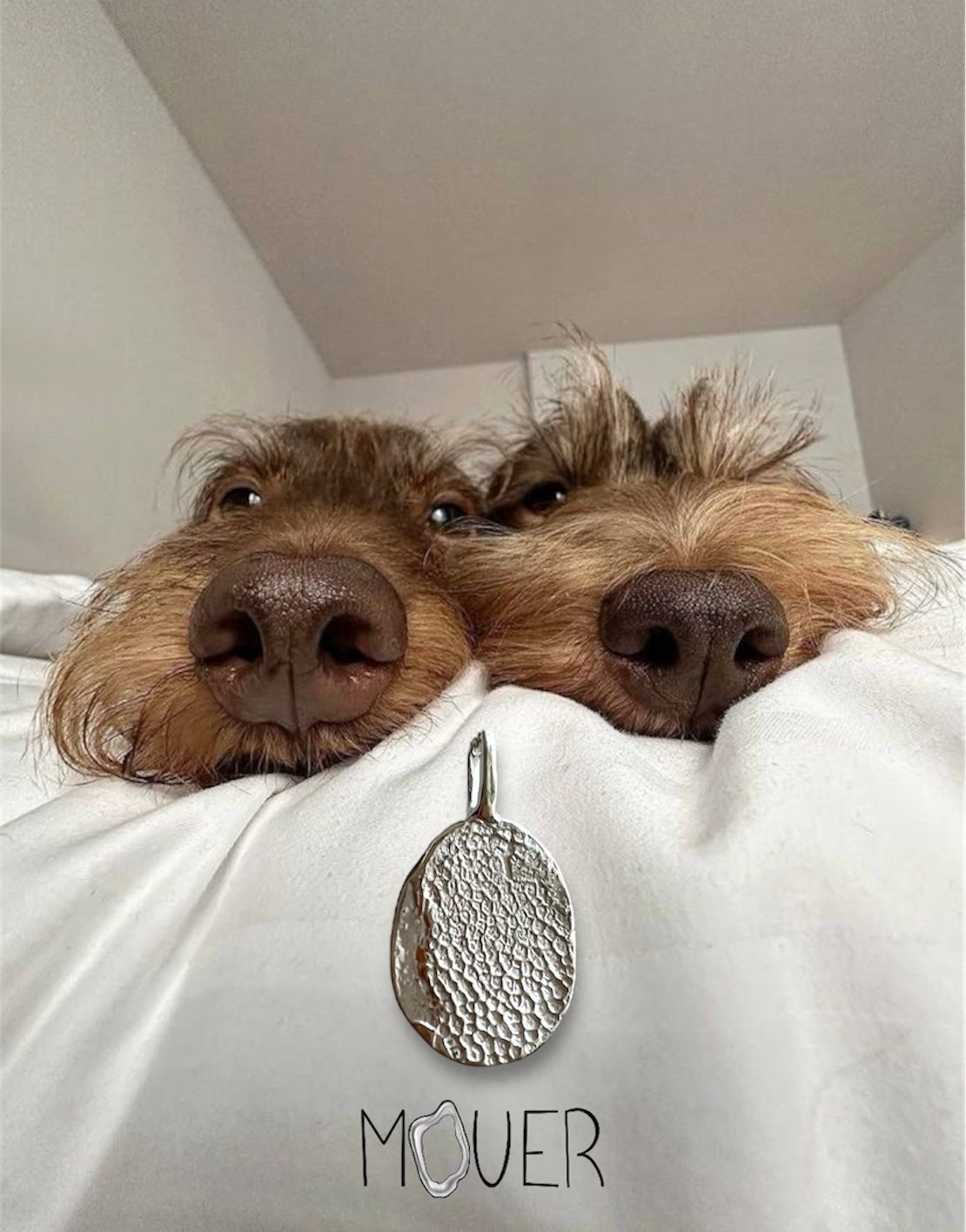 COLLAR TOUCH - Mouer