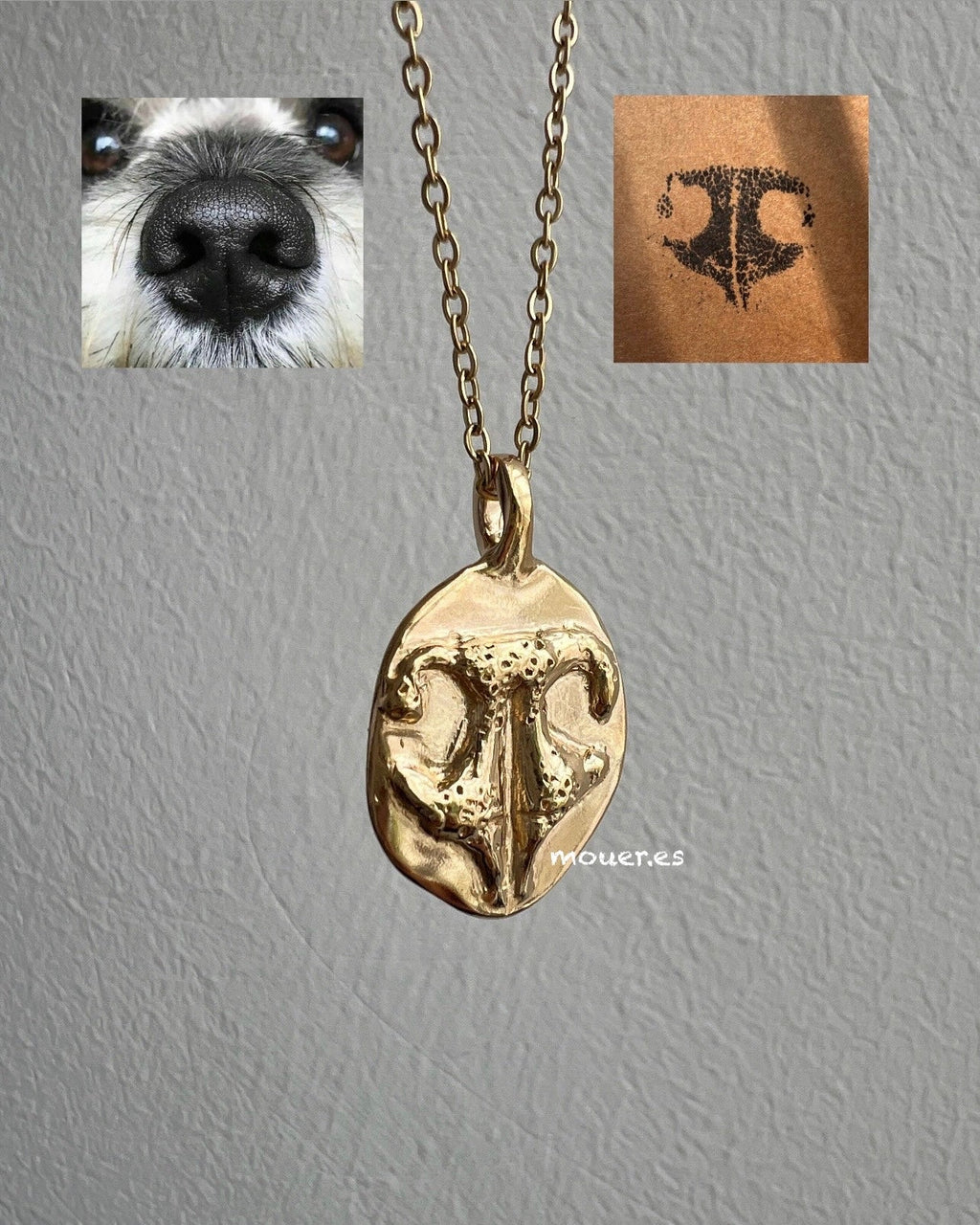COLLAR PAW ETERNA - Mouer