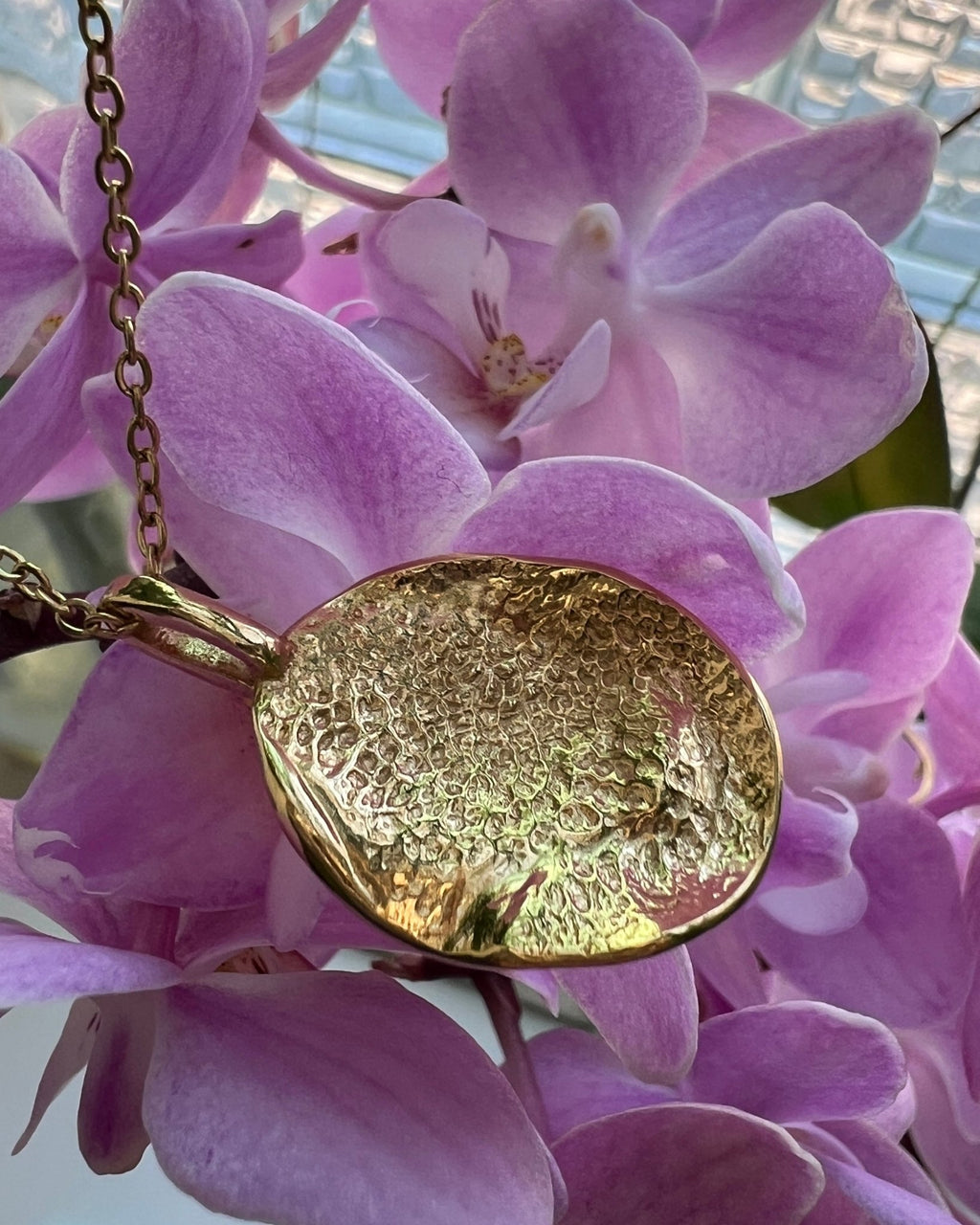 COLLAR TOUCH - Mouer