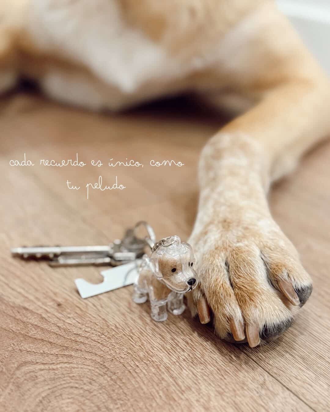 LLAVERO PELO ETERNO - Mouer
