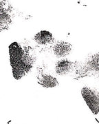 COLLAR PAW ETERNA - Mouer