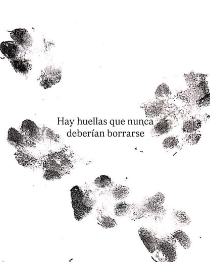 COLLAR PAW ETERNA - Mouer