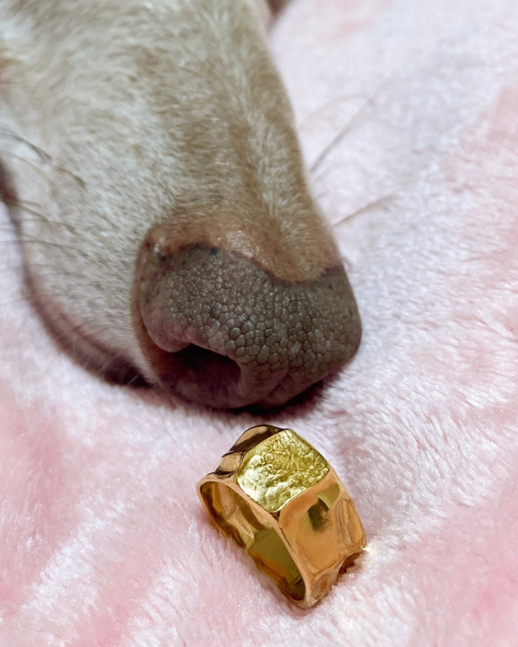 ANILLO TOUCH - Mouer