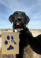 COLLAR PAW ETERNA - Mouer