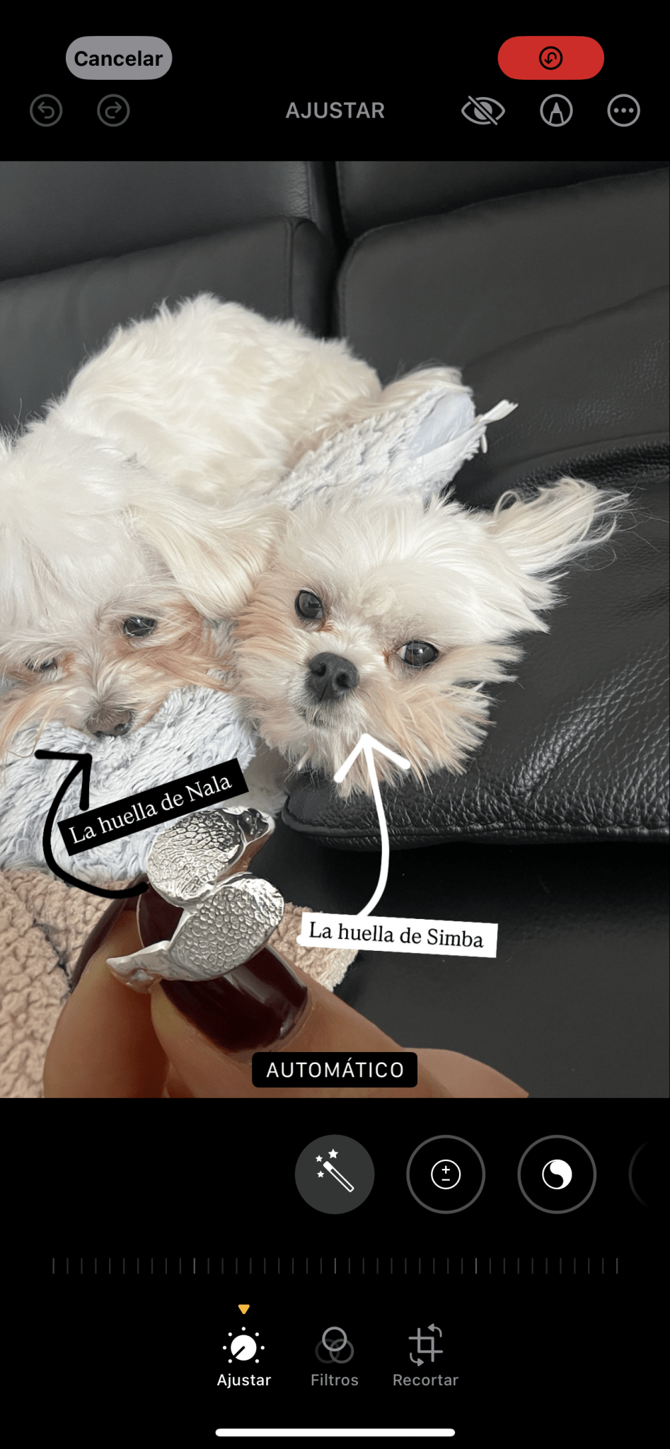 Anillo Touch Dúo - Mouer