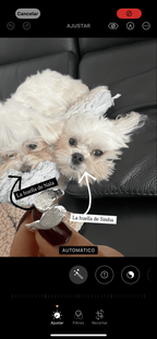 Anillo Touch Dúo - Mouer