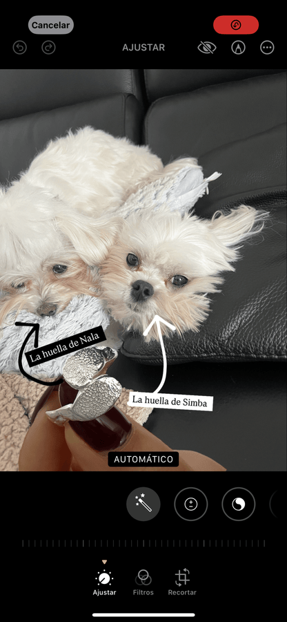 Anillo Touch Dúo - Mouer